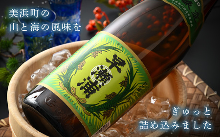 本醸造 1800ml × 2本 セット(のし無し)【日本酒 地酒 福井 美浜 早瀬 フルーティ 男酒 硬水 ミネラル 希少 ご褒美 家飲み】[m16-a016]