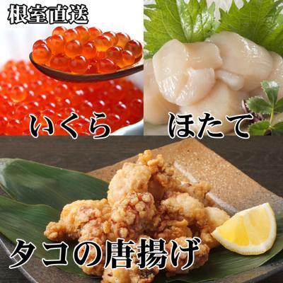 ふるさと納税 根室市 たこ唐揚げ250g×2P、ほたて貝柱500g×1P、いくら醤油漬け100g×1P C-70073