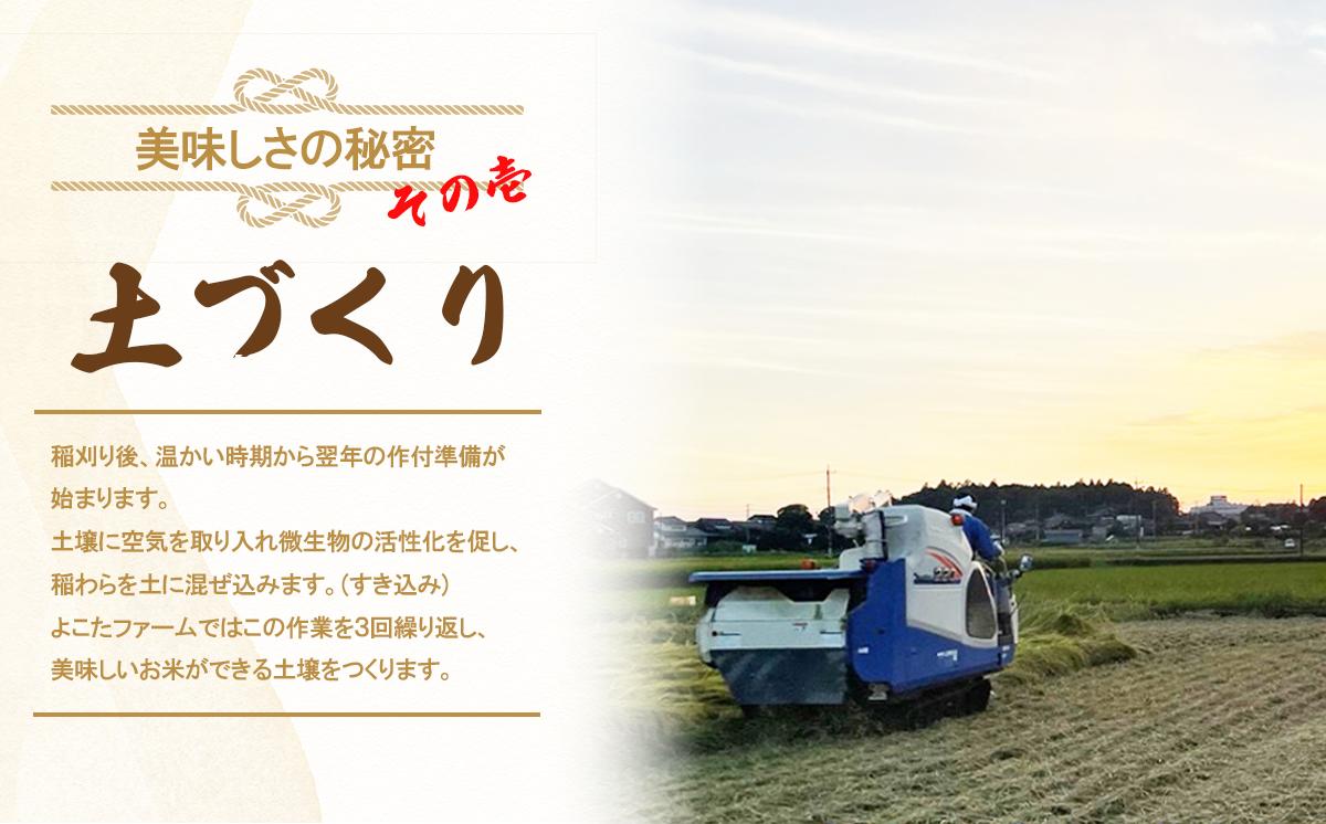 令和7年産 よこたファームのコシヒカリ （ 玄米 ） 10kg 【 米 ライス 玄米 こしひかり 10kg 茨城県産 新米 こだわり こめ コメ お米 2025年産 おこめ R7 ご飯 ごはん 数量 