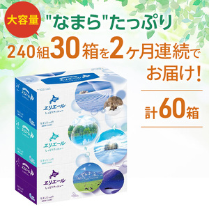 【2ヵ月連続お届け・計60箱】エリエール 北海道 しっとりティシュー なまらたっぷり 240組3箱 10パック ふるさと納税限定デザイン ボックスティシュー 箱ティッシュ ペーパー 備蓄品 花粉 保湿