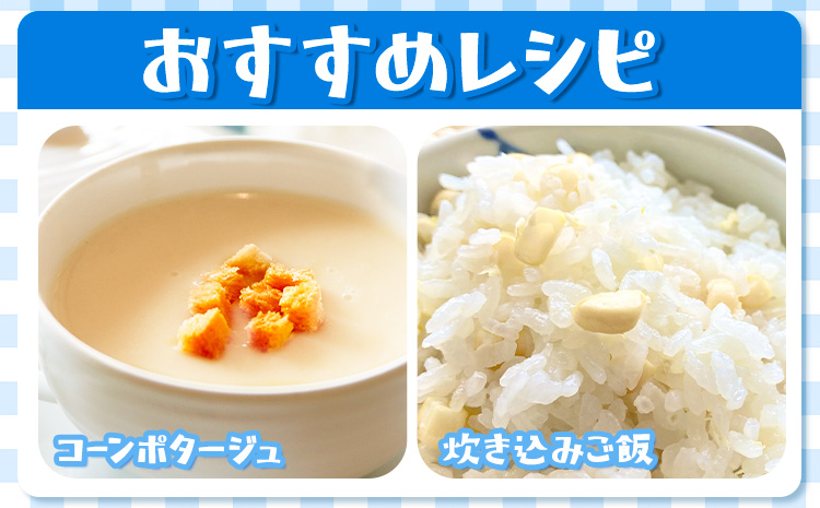 【特大】 とうもろこし 極甘 ホワイトコーン 「 なよろホワイト 」 8.5kg 以上 20～22本 特大 サイズ《 7月 下旬- 9月 中旬頃出荷予定》 朝採れ 真空予冷 冷蔵 高糖度 先行予約 夏