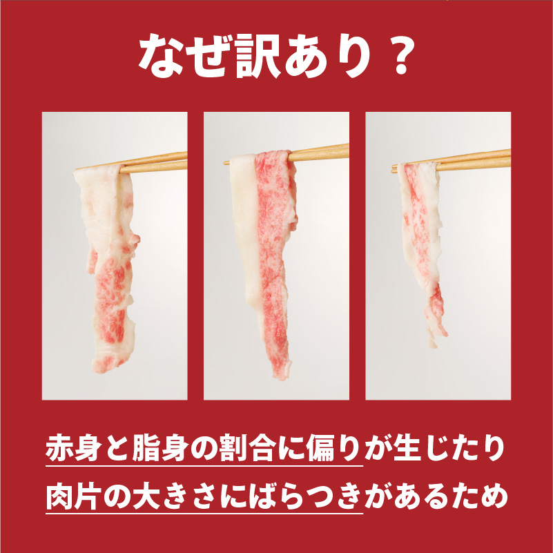 【訳あり】佐賀牛切り落とし1kg（500g×2パック）（3月配送）