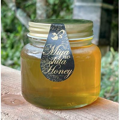 ふるさと納税 雲南市 天然日本ミツバチの「はちみつ」大瓶　400ml