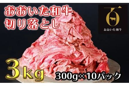 ＜生産者支援品＞おおいた和牛切り落とし3kg（300g×10p） ※真空パック 【匠牧場】