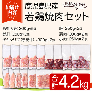 鹿児島県産若鶏焼肉セット(6種・合計4.2kg) 国産 鶏肉 鳥肉 肉 若鶏 お肉 もも肉 モモ肉 砂肝 肝 手羽中 肩肉 チキン チキンリブ セット 詰め合わせ 焼き肉 焼肉 やきにく 小分け 冷凍