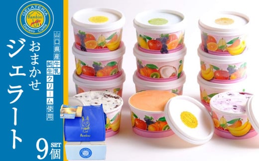 ジェラート おまかせ 9個 セット ( アイス アイスクリーム スイーツ デザート 詰め合わせ フルーツ 果物 季節 旬 ギフト 贈り物 プレゼント バニラ チョコレート 抹茶 カップ おやつ 母の日 父の日 お中元 お歳暮 贈答 食べ比べ 手土産 夏 休み ) 下関 山口