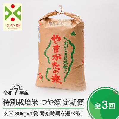 ふるさと納税 大石田町 新米 米 【玄米3回定期便 1月・4月・7月発送】つや姫 30kg×3回 令和7年産 山形県