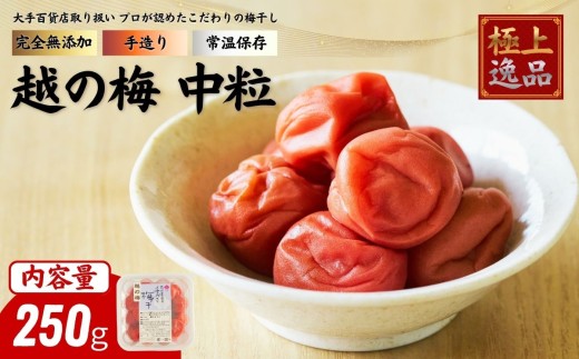 及川農園 梅干し 越の梅 【中粒】 250g / 賞味期限 約3年 国産 手作り 完全無添加 大手航空会社 国際線 ファーストクラス 12年連続採用 百貨店取り扱い 梅 セット グルメ お取り寄せ 特別 ギフト 贈答品 贈り物 送料無料 【#0159-0250】