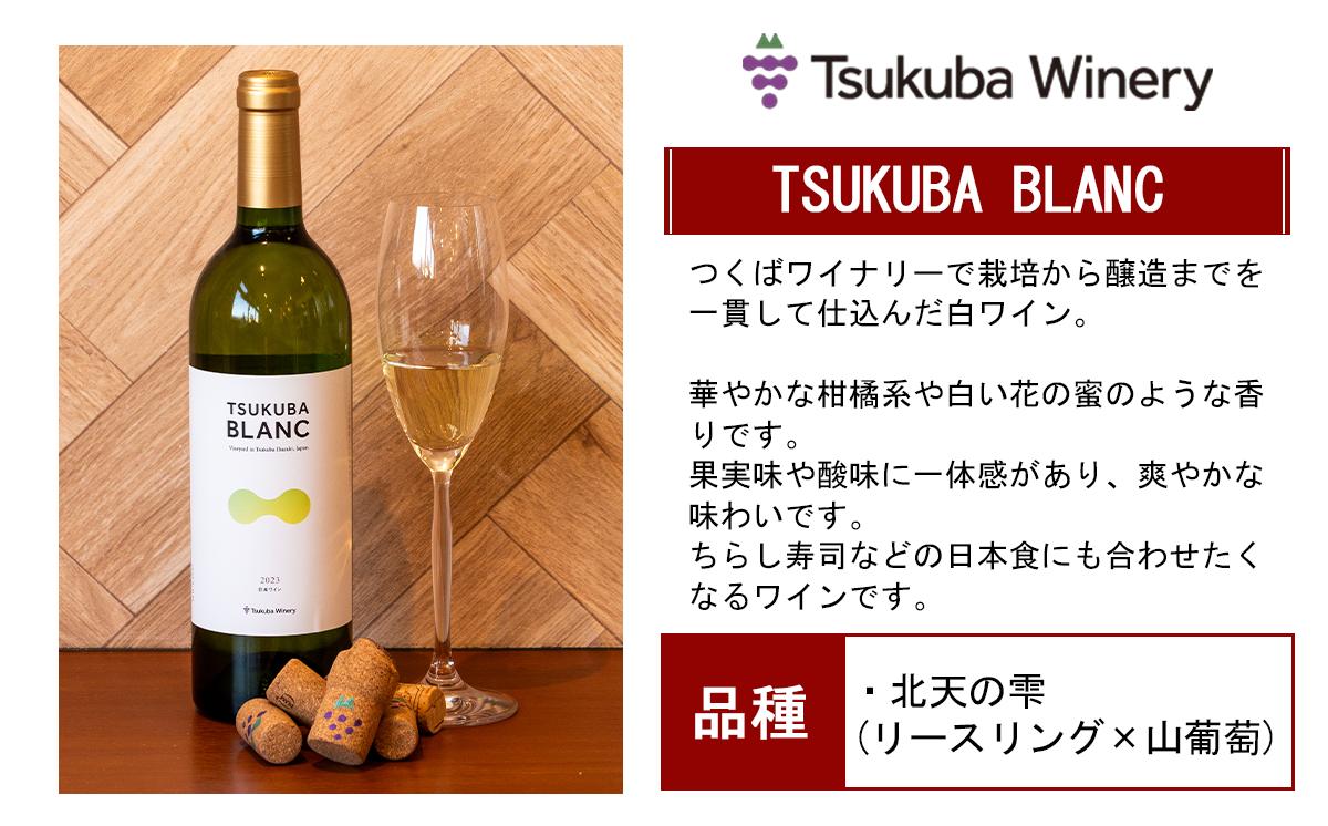 つくばワイナリー 満喫セット 【 お酒 葡萄 ぶどう ブドウ 茨城県産 つくば市産 ワイナリー 】