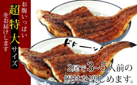 【定期便】三河産うなぎ「超特大蒲焼き2尾(合計400～420g)」×6回(隔月1回　1年間)・A133-102