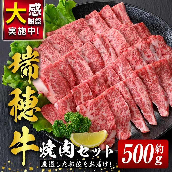 焼肉 セット 約500g 牛肉 【焼肉】【ho0858】