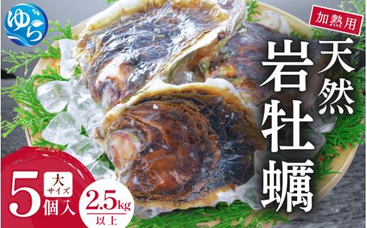 天然岩牡蠣（加熱食用）大サイズ5個入（2.5kg以上）　【skmn004】