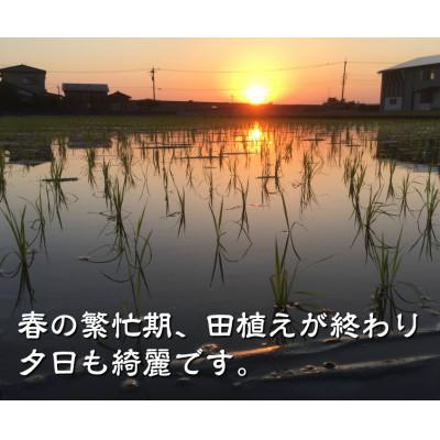 ふるさと納税 能美市 天日干有機米こしひかり「天地の誉」玄米 10kg (5kg×2袋) |  | 03