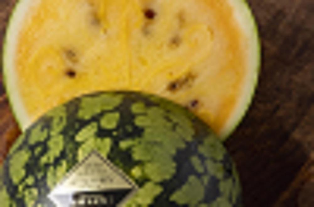 【2026年7月下旬〜8月上旬順次発送予定】糖度日本一・金賞W受賞 金色羅皇  最高級南魚沼八色産黄色スイカ「こまがた家の八色のスイカ」プレミアム大玉 1玉