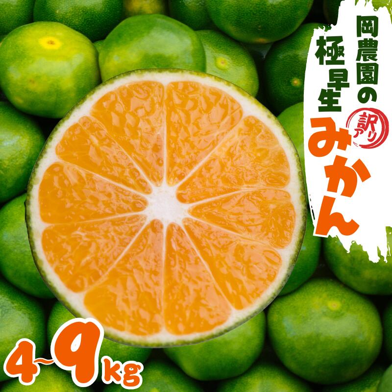 【ふるさと納税】 【容量が選べる】訳あり サイズL以下 岡農園の極早生温州みかん【2025年9月中旬から10月下旬までに順次発送】/ みかん 蜜柑 温州みかん 極早生みかん 柑橘 訳あり