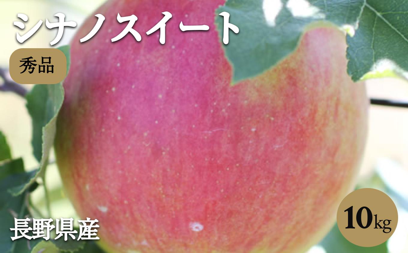 香りも良く食べやすい! 長野県産 りんご ( シナノスイート )約10kg 秀品＜2026年10月中旬～11月中旬発送＞| 果物 くだもの フルーツ りんご リンゴ 林檎 シナノスイート 長野県 信州 南信州 飯田市