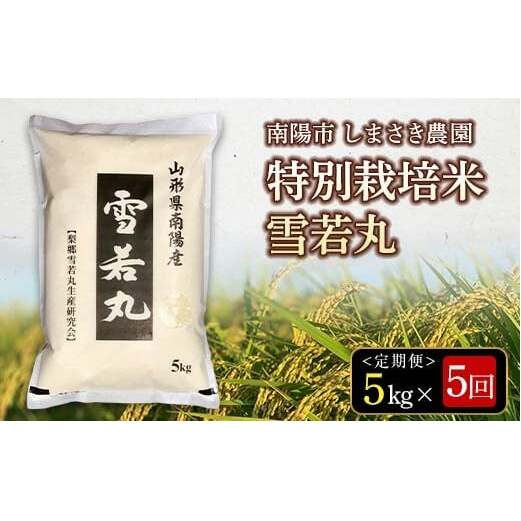 【米食味コンクール金賞受賞農園】 《定期便5回》 令和7年産 特別栽培米 雪若丸 5kg×5か月 《令和8年3月～7月毎月発送》 『しまさき農園』 山形県 南陽市 [2602]