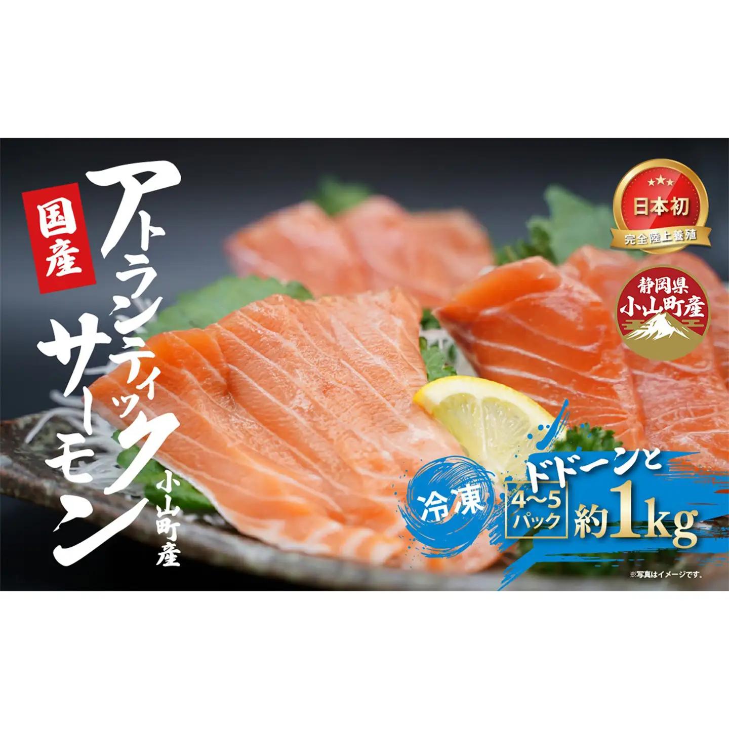 サーモン 冷凍 4～5P 約1kg サーモン