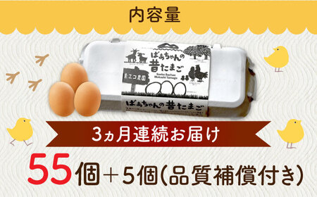 【全3回定期便】ばあちゃんの昔たまご 計180個（55個+5個×3回（割れ補償付き）） / 平飼い卵 / 佐賀県 / 素ヱコ農園 [41AEAA010]