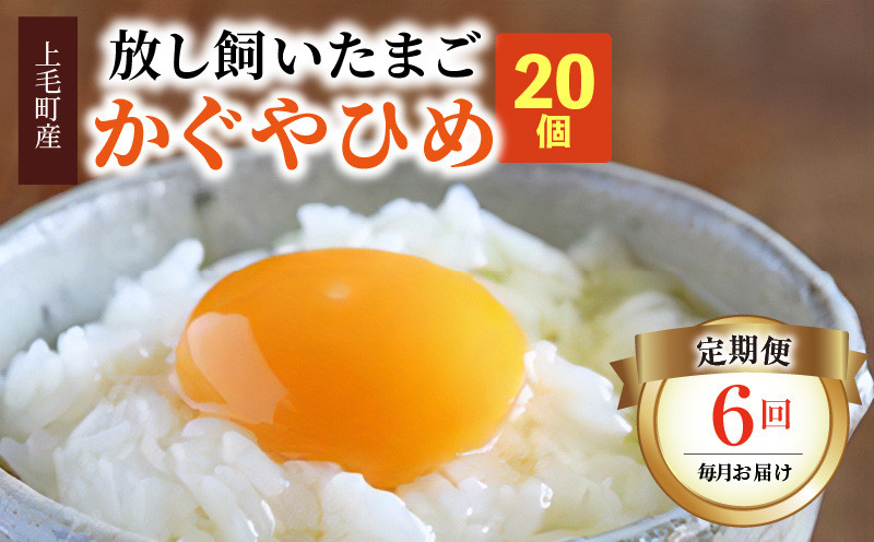 
            【定期便】放し飼いたまご『かぐやひめ』20個　6回（毎月）コース　04T-009
          