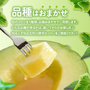 【2026年8月中旬発送】津軽産 青肉 メロン 約5kg ( 3~6玉 ) ご家庭用 品種おまかせ 【青森メロン】