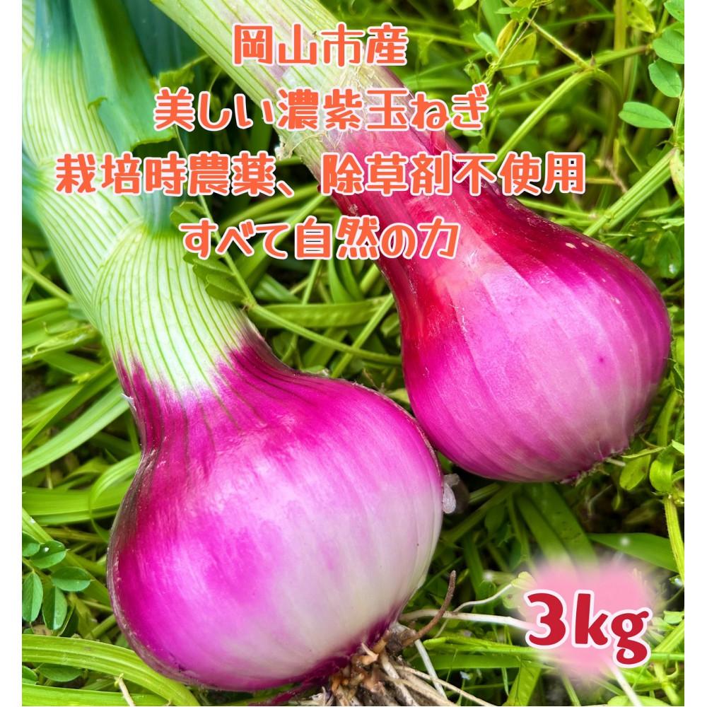 【ふるさと納税】岡山市産 赤紫玉ねぎ3kg(サイズ混合)栽培期間中農薬・除草剤不使用自然の力健康野菜 | 野菜 やさい 食品 人気 おすすめ 送料無料