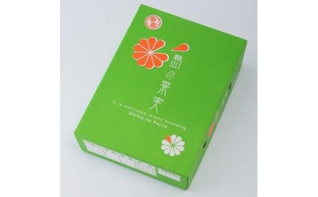 【12月上旬から発送】 中島産 手詰め愛果（あいか） L～3Lサイズ （ 愛媛産 愛媛県産 国産 愛媛みかん 愛媛蜜柑 愛媛ミカン みかん ミカン mikan 蜜柑 柑橘 フルーツ 果物 くだもの お