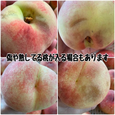 【2026年先行受付】訳あり桃!3kg前後 ご家庭用 加工用に!【配送不可地域：離島】【1647628】