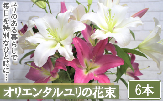 
【産直】オリエンタルユリの花束【6本】　【11218-0533】
