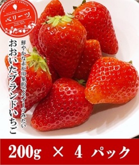 【先行予約】　大分県ブランドいちご ベリーツ 200g×4パック 先行予約 苺 イチゴ フルーツ 果物 大分県産 産地直送 九州産 中津市