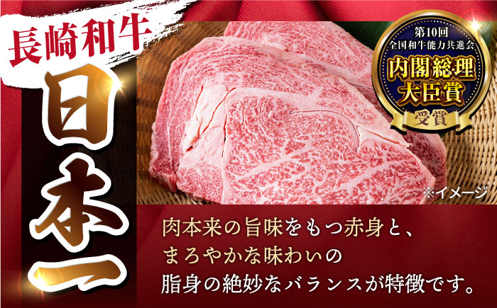 【3回定期便】ヒレ・サーロイン ステーキ2種食べ比べセット 長崎和牛 （計400g以上/回） 【肉のマルシン】 [FG43]