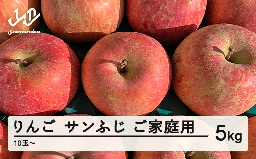 【先行予約】 りんご サンふじ ご家庭用 約5kg(10~20個程度)  2026年産 山形県産 甘い シャキシャキ 食感 リンゴ 林檎 フルーツ 果物 果樹 ※沖縄・離島への配送不可 tf-risf