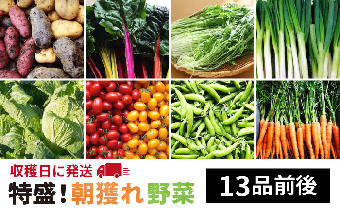 
【 福岡県 糸島産 】 朝採れ 野菜 セット （ 13品 前後 ） 《糸島》【オーガニックナガミツファーム】 [AGE023]
