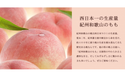 和歌山の桃 秀品 [約3.8～4kg] (サイズ・品種おまかせ) 紀伊国屋文左衛門本舗 和歌山 もも モモ 桃 果物 フルーツ 人気 産地直送 和歌山県 お取り寄せ【sutb800B】