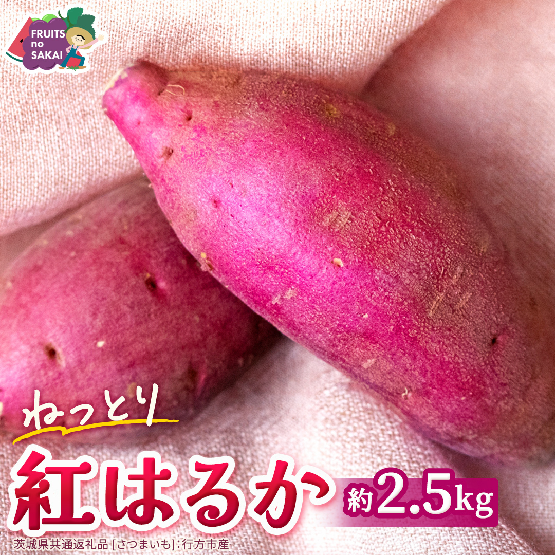 紅はるか 約 2.5kg （茨城県共通返礼品 [さつまいも]：行方市産） べにはるか さつまいも 生芋 芋 サツマイモ 甘い 焼き芋 スイートポテト ねっとり 茨城県産 お取り寄せ 野菜 根菜 いも 
