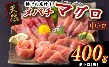 天然メバチマグロ 【 中トロ 】400ｇ（柵） メバチマグロ めばちまぐろ めばち メバチ まぐろ マグロ 鮪 サク 柵 中トロ 天然 天然まぐろ 天然マグロ 刺身 お刺身 食べ比べ 海鮮丼 丼 魚 さかな 新鮮 高知 室戸 冷凍 小分け 海鮮