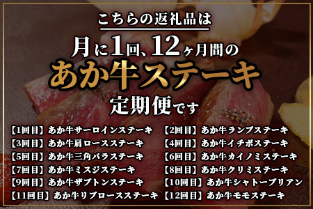 【定期便12回】あか牛ステーキ 12種 ＼＼極上／／ 食べ比べ ！ 熊本県産 自社牧場 和牛 タレ付 専門店 12ヶ月 1年 定期配送 046-0635