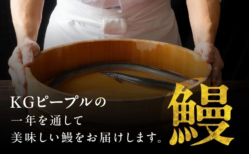 秘伝のたれ仕込み うなぎ蒲焼 合計 320g（約160g×2尾）鰻 ウナギ 中国産 温めるだけ 簡単 レンジ調理 ふっくらふわふわ 炭火焼き 備長炭 手焼き G1878