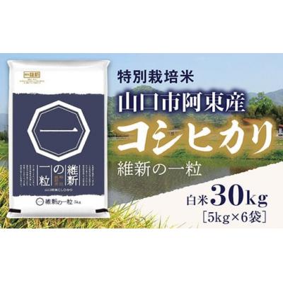 ふるさと納税 山口市 維新の一粒5kg×6袋(白米) A097