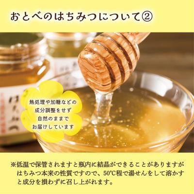 ふるさと納税 乙部町 <おとべのはちみつ シナ500g×1本> |  | 02