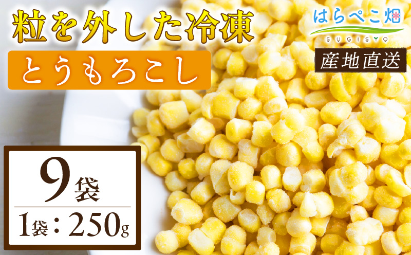 粒を外した冷凍とうもろこし（250g×9袋）・H093