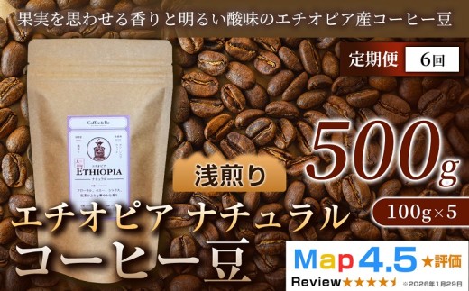 【定期便】エチオピア ナチュラル（100g×5袋）×全6回