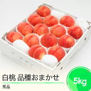 【ふるさと納税】もも 白桃 秀品 品種おまかせ 化粧箱入り 約5kg 2025年産 送料無料 フルーツ 果物 大石田 ns-mohtx5※沖縄・離島への配送不可