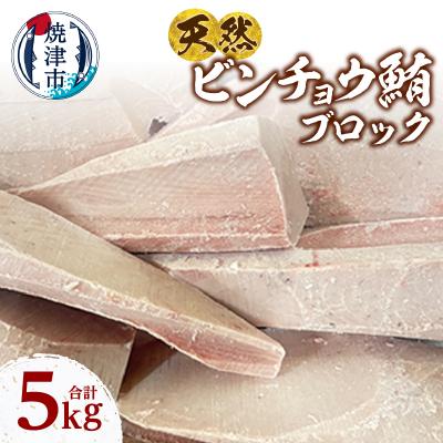 ふるさと納税 焼津市 天然 ビンチョウマグロ ブロック 業務用 焼津 海の極 5kg(a28-036)