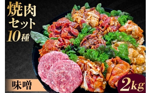 焼肉セット10種（味噌）【 味付け 味噌 簡単 BBQ バーベキュー 牛タン 牛カルビ 牛ウデ 牛肩ロース 牛さがり 豚トロ ハンバーグ ホルモン 鶏もも 豚カルビ 小分け 冷凍保存 】