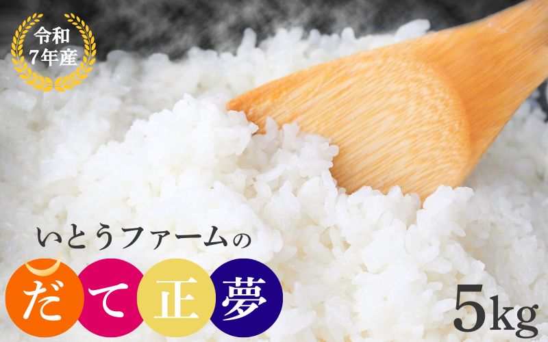 【宮城米の夢をかなえた極良食味品種】いとうファームの 令和7年産 「だて正夢」 5kg / 米 お米 精米 白米 ご飯  産地直送【itofarm035】