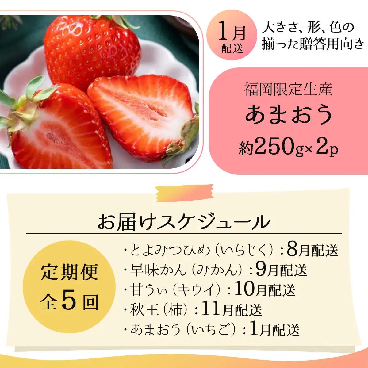 ＜5回定期便＞福岡ブランドの旬のフルーツ定期便 (篠栗町)｜イチジク ミカン キウイ 柿 イチゴ【NF019】