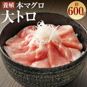 【ふるさと納税】長崎県産 本マグロ「大トロ」約600g【大村湾漁業協同組合】