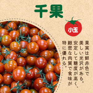 野菜 トマト ミニトマト 2kg 3種 食べ比べ 完熟 ギフト セット 冷蔵 詰め合わせ 千果 シンディスイート かれん とまと ふるーつとまと トマト とまと tomato 美味しい 甘い 野菜 サ