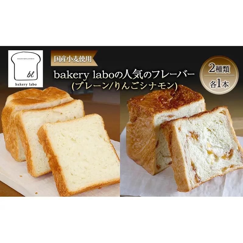 デニッシュセット プレーン りんごシナモン 国産小麦 デニッシュセット【2種各1本】【冷凍】